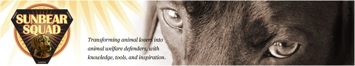 Learn how to help animals in distress and promote animal welfare at the Sunbear Squad web site.