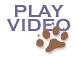 Click to view video introduction to the Sunbear Squad neighborhood watch for pets plan.