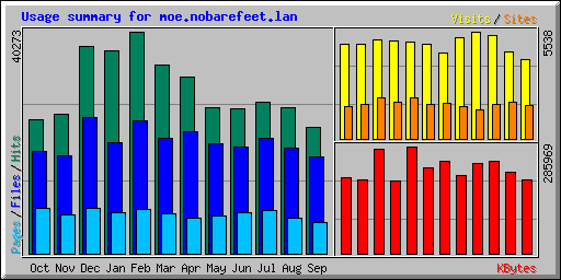 Usage summary for moe.nobarefeet.lan